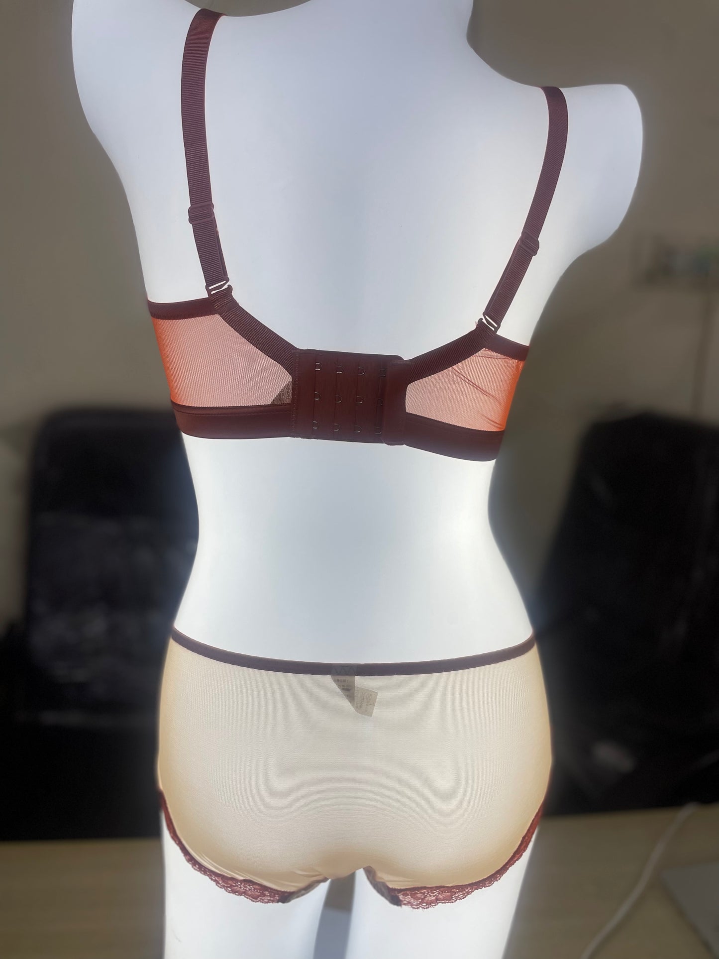 Light Padded Lace Net Bra & Panty Set - My Store