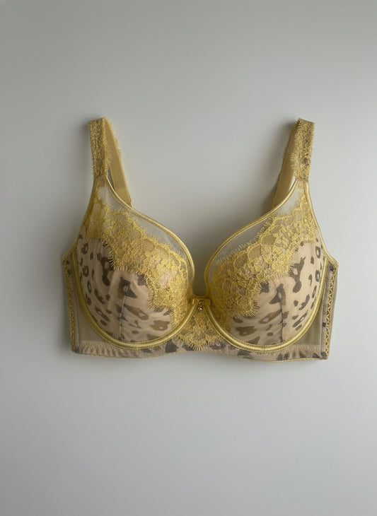 Light pad lace Bra